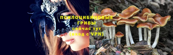 ECSTASY Балабаново