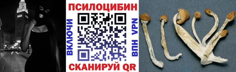 Псилоцибиновые грибы ЛСД Казань